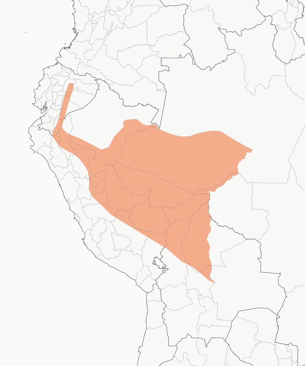 Nistalo striato occidentale, Distribuzione 1