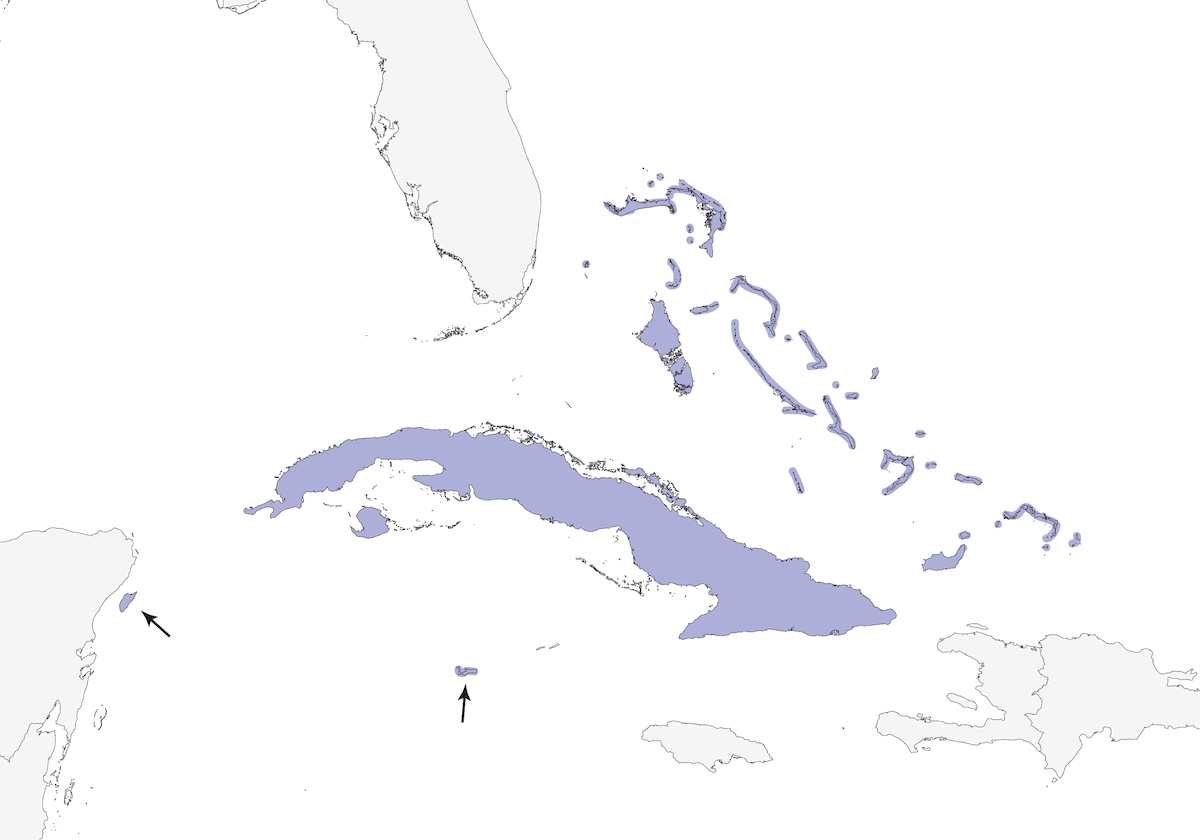 Espindalis occidental, Distribución 1