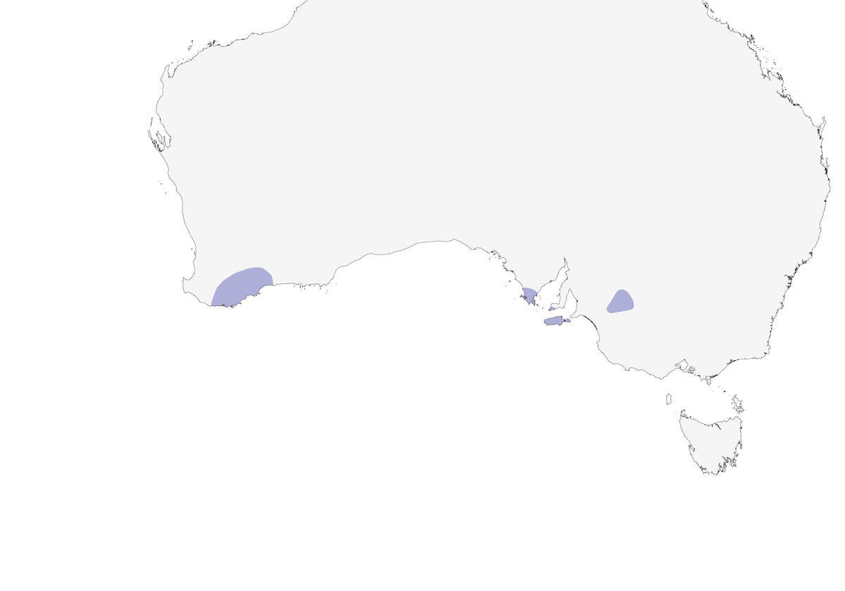 Western Whipbird, Distribution 1