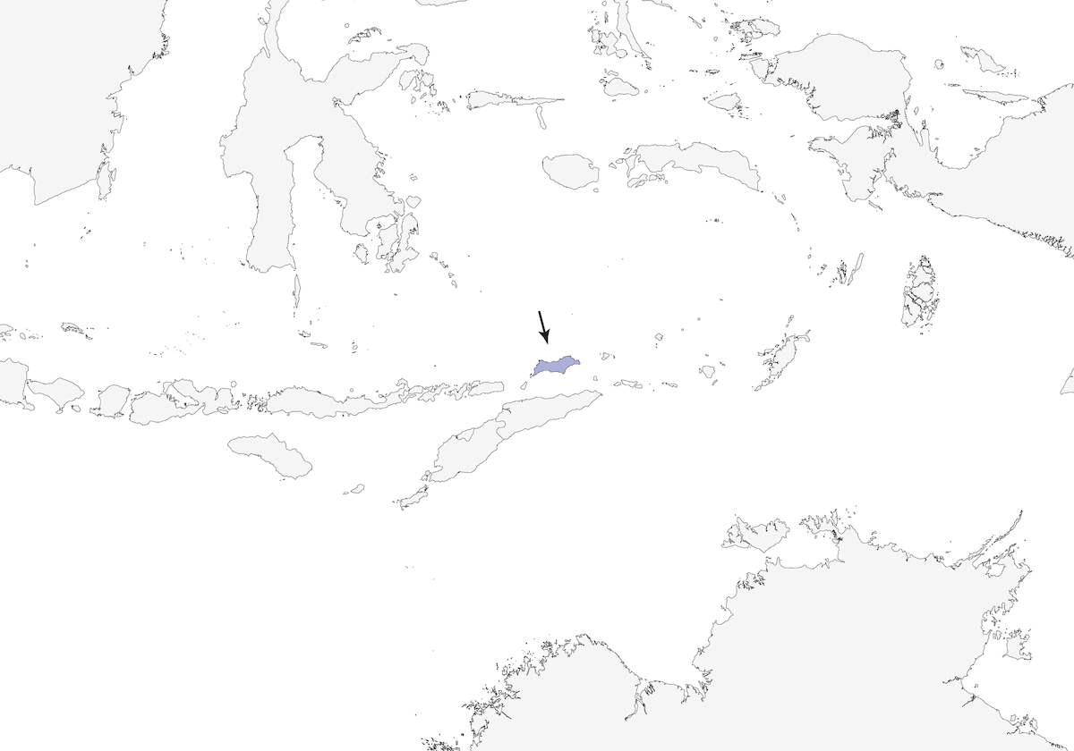 Oriole figuier de Wetar, Distribution 1