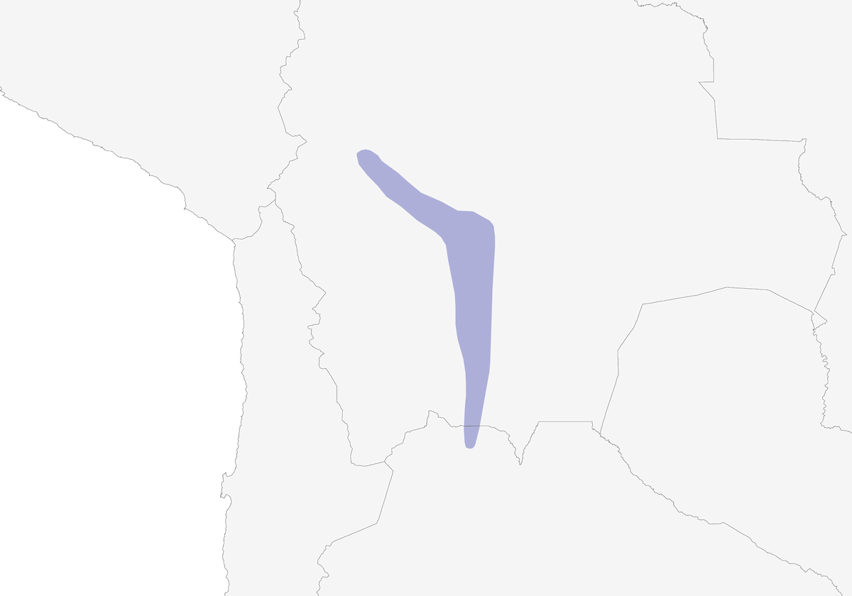 Colibri d'Adela, Distribution 1