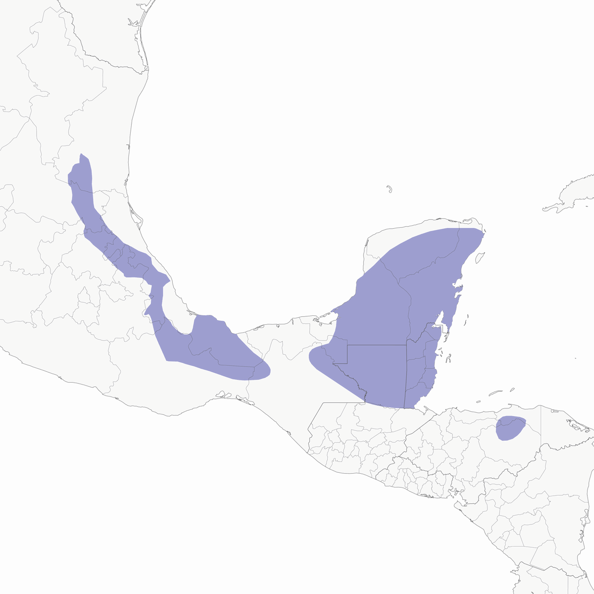 Colibrí sable colicuña, Distribución 1