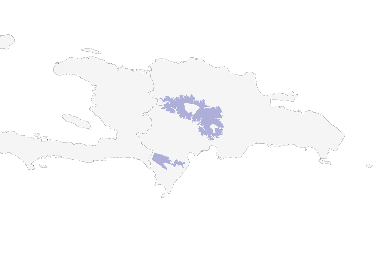 Tortora quaglia frontebianca, Distribuzione 1