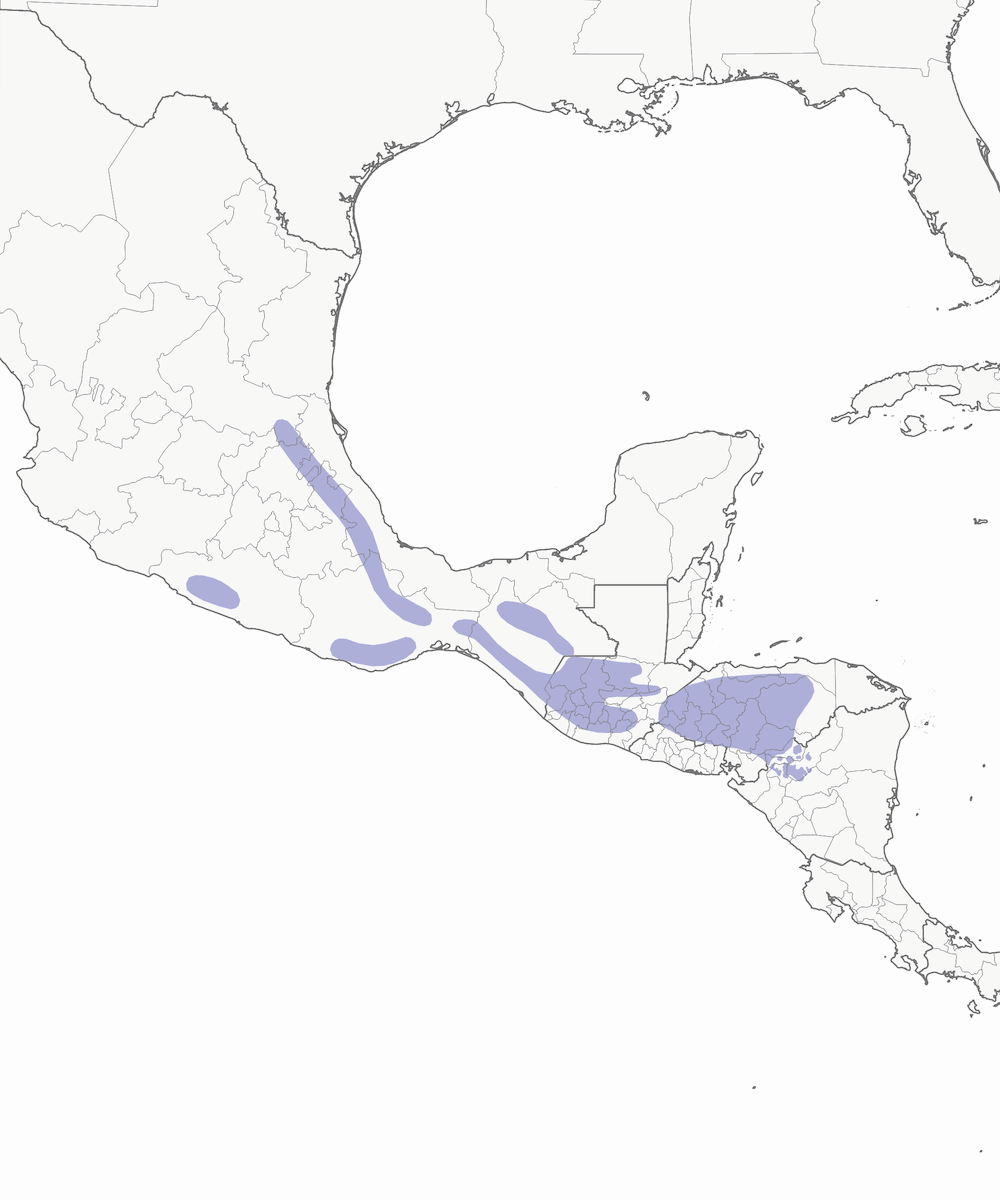 White-faced Quail-Dove, Distribution 1