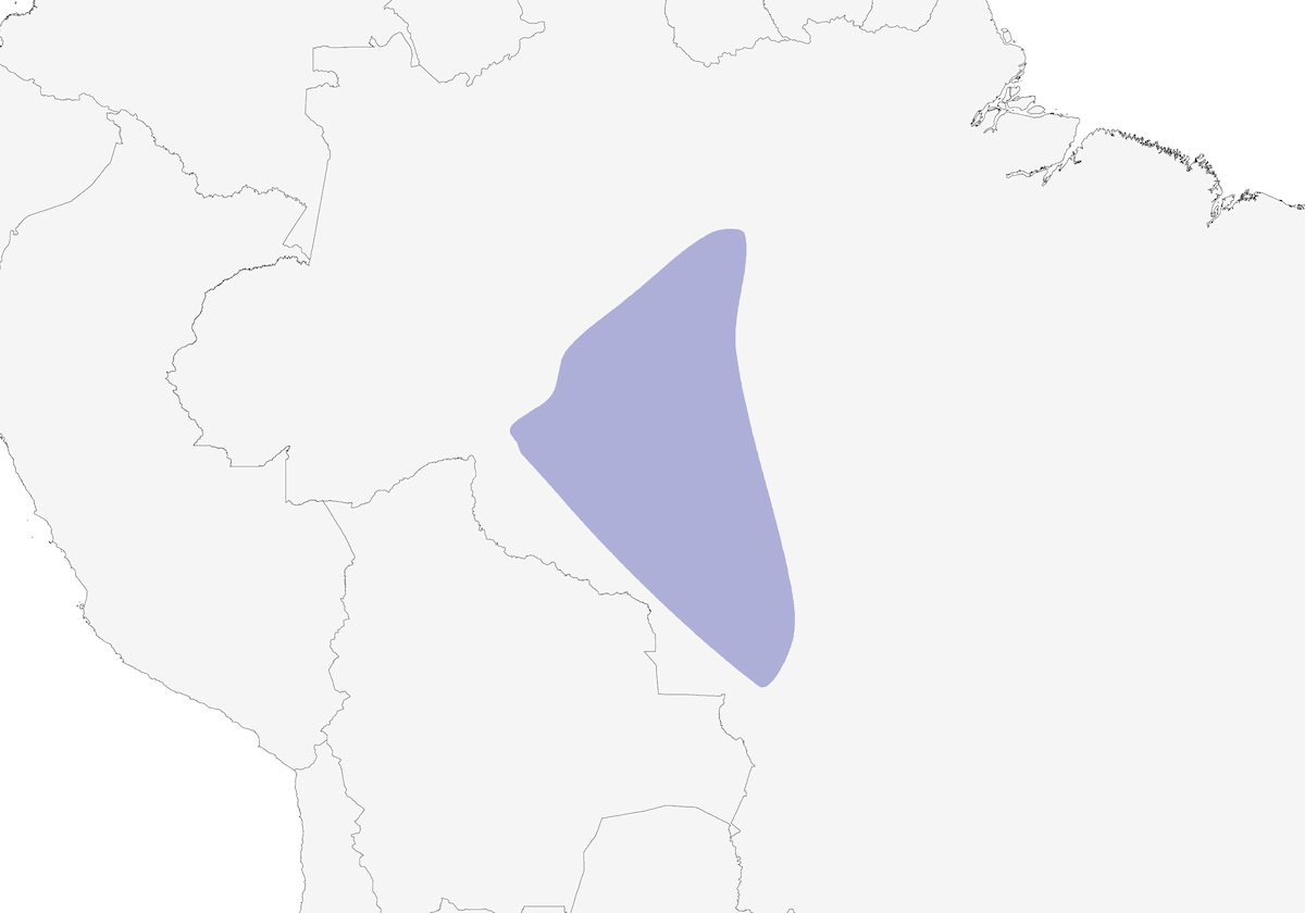 White-breasted Antbird, Distribution 1