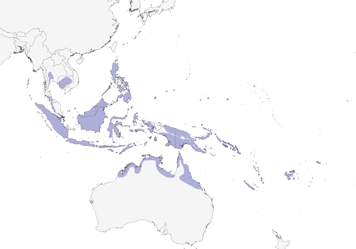 Polluela Cejiblanca, Distribución 1