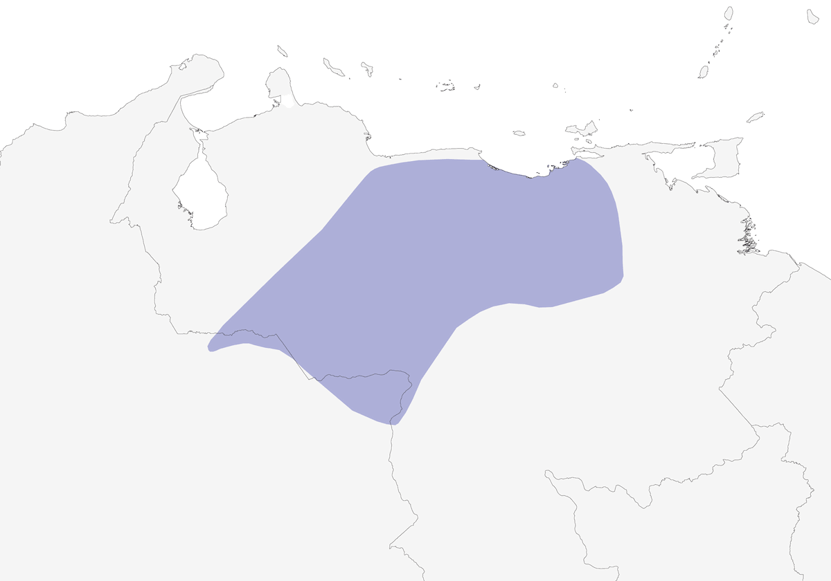 White-bearded Flycatcher, Distribution 1