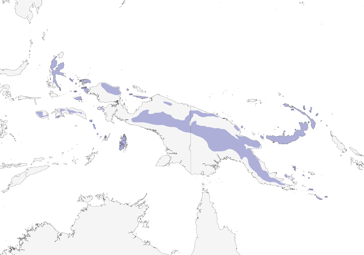 Tilopo pechiblanco, Distribución 1