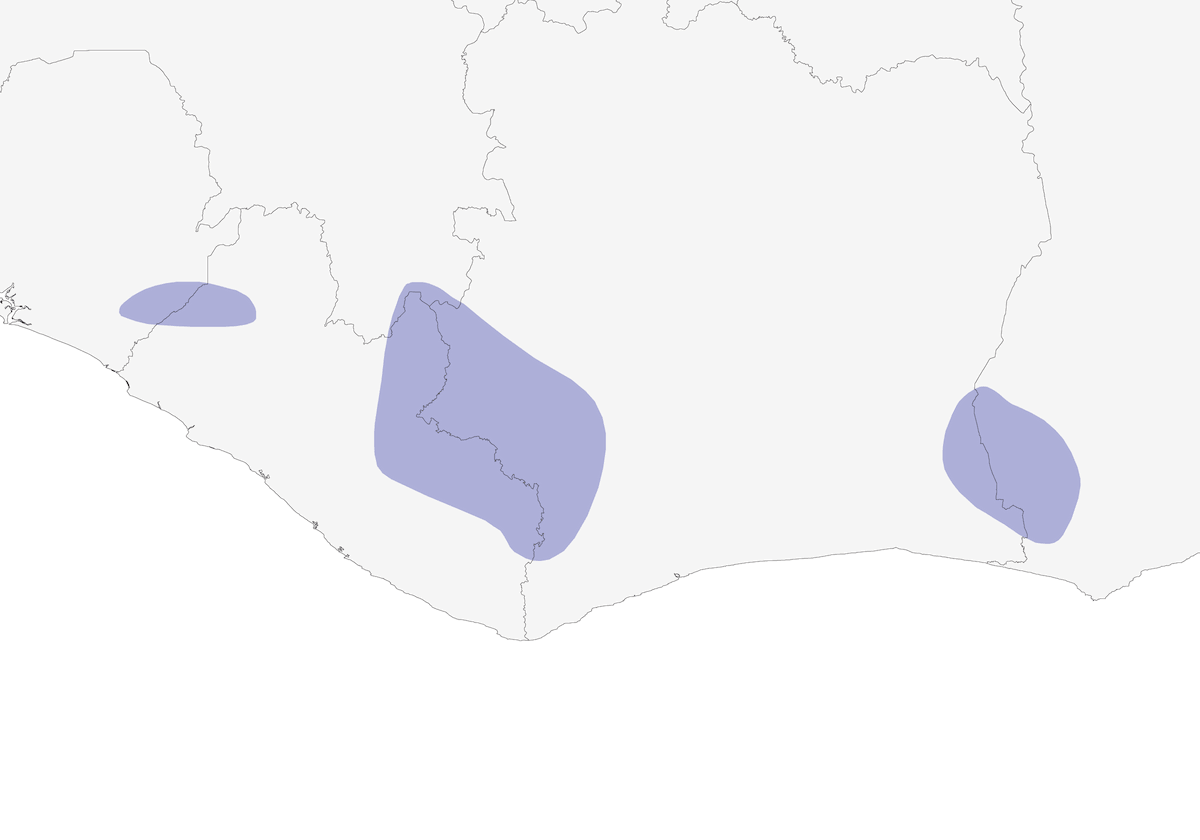 White-breasted Guineafowl, Distribution 1