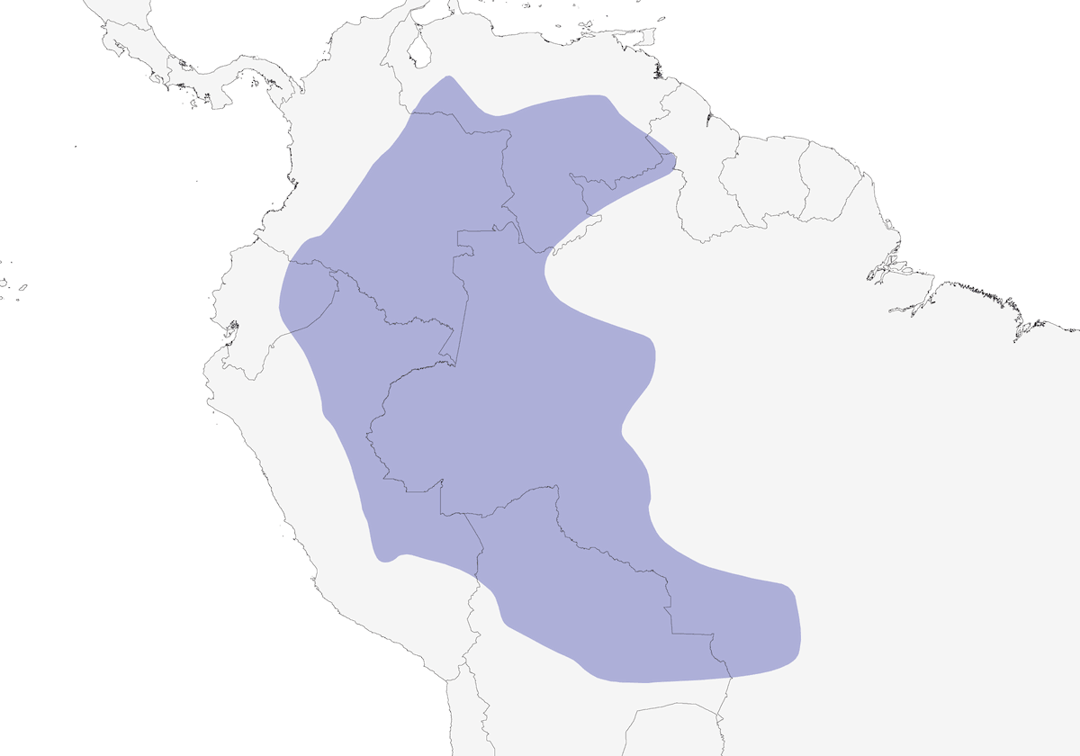 White-bearded Hermit, Distribution 1