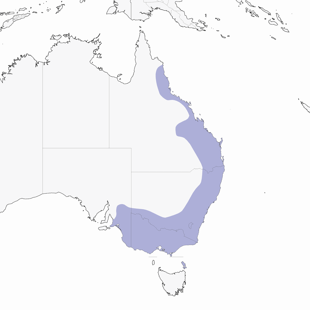 Sericornide dai sopraccigli bianchi, Distribuzione 1