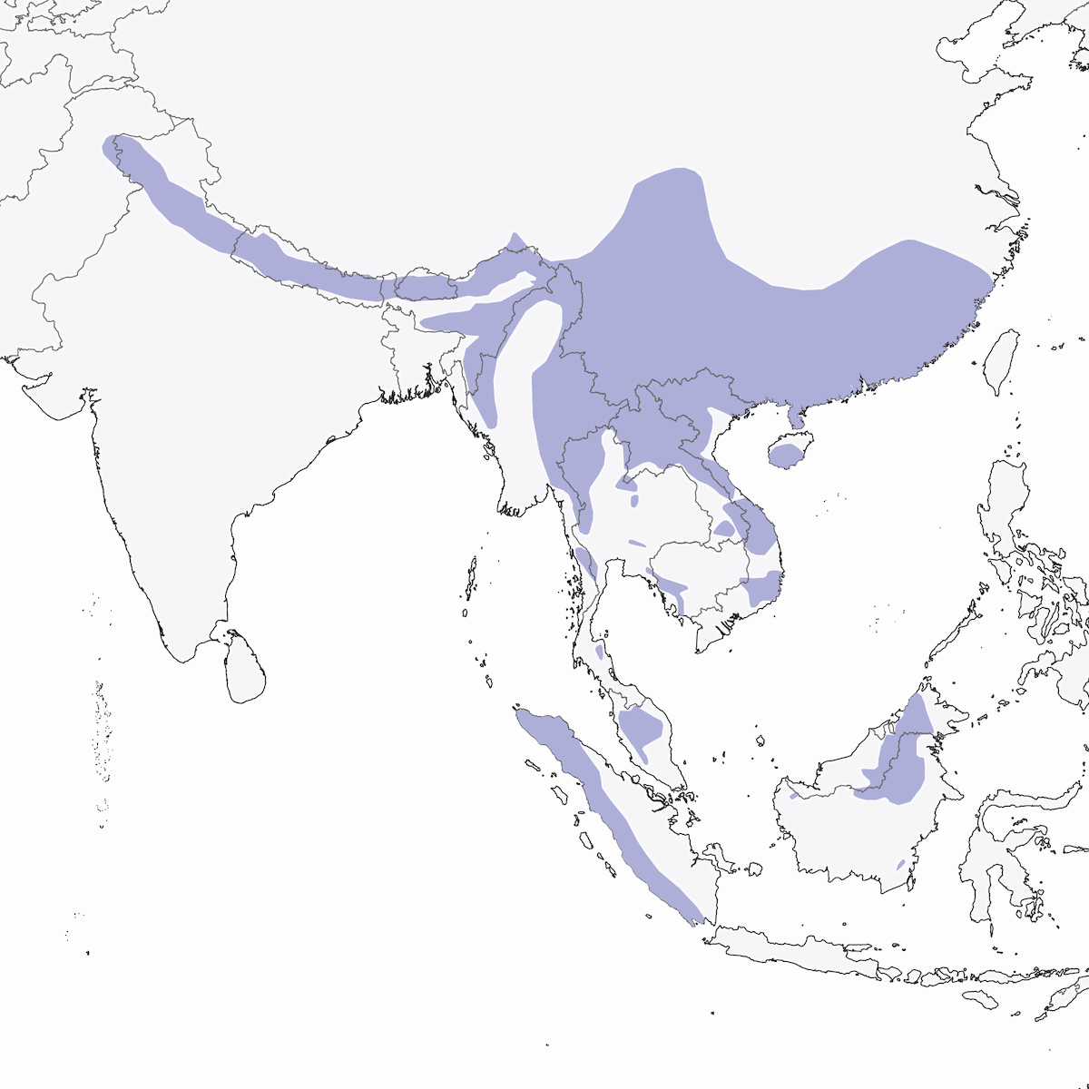 White-browed Shrike-Babbler, 分布 1