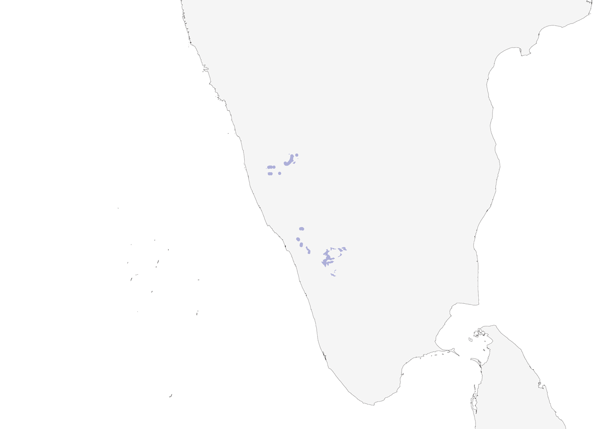 Sholicola des Nilgiris, Distribution 1