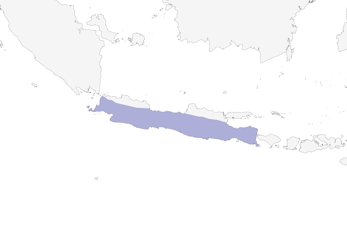 Javan Shortwing, Distribution 1