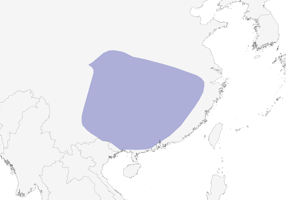Ala Corta China, Distribución 1