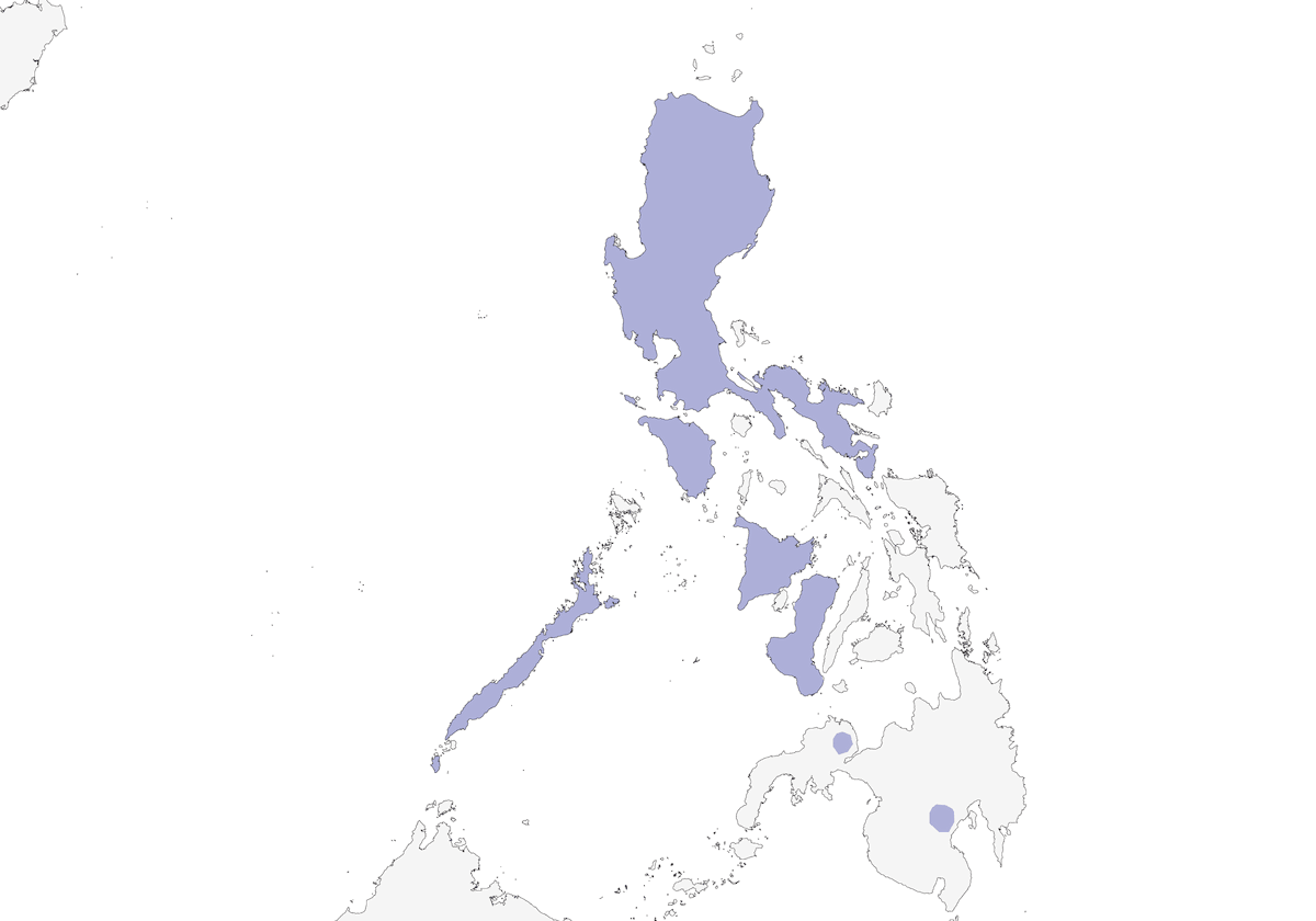 Philippine Shortwing, Distribution 1