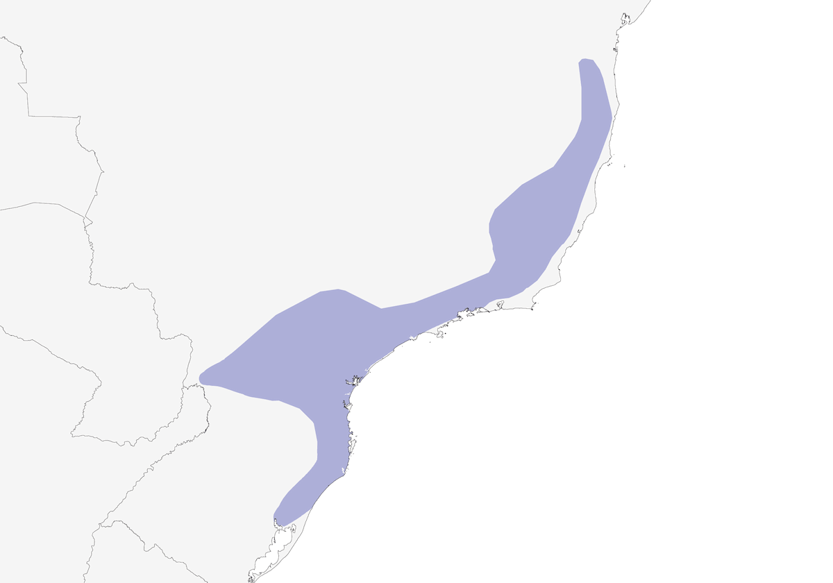 White-breasted Tapaculo, Distribution 1