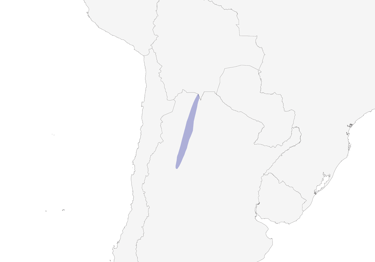 Tapaculo superciliaire, Distribution 1