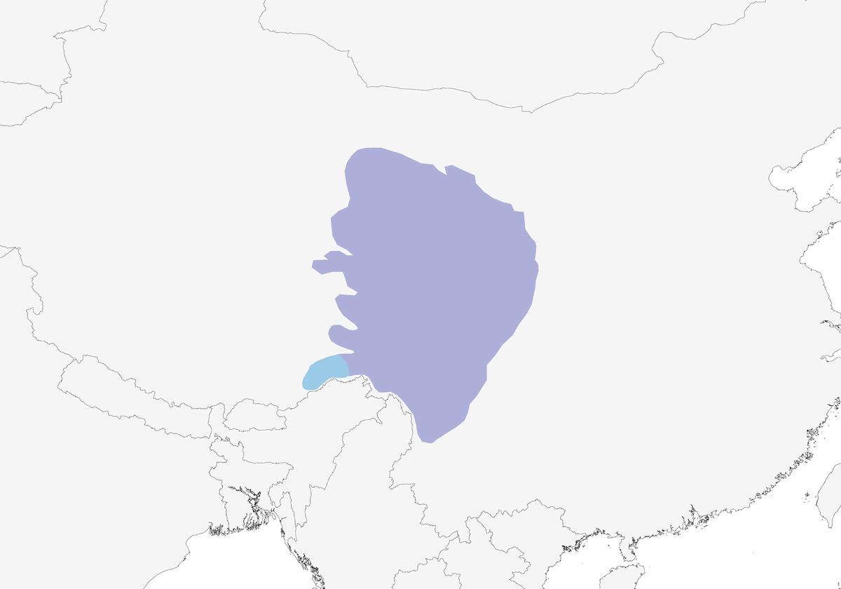 Tordo dorsobianco, Distribuzione 1