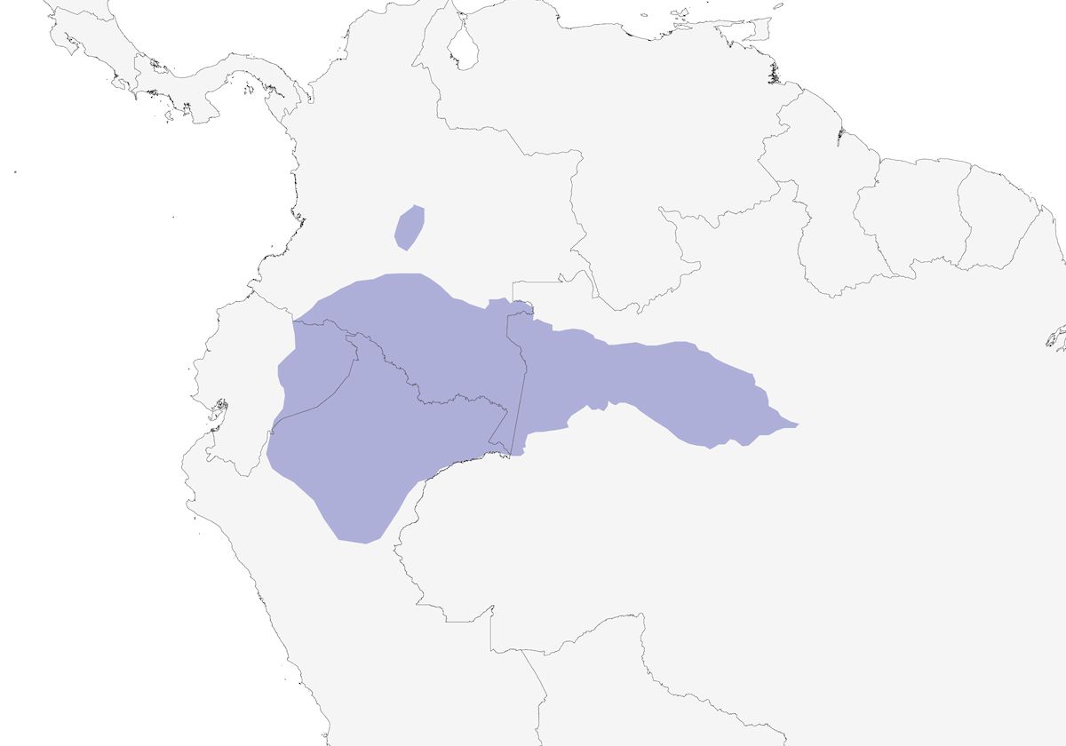White-cheeked Antbird, Distribution 1