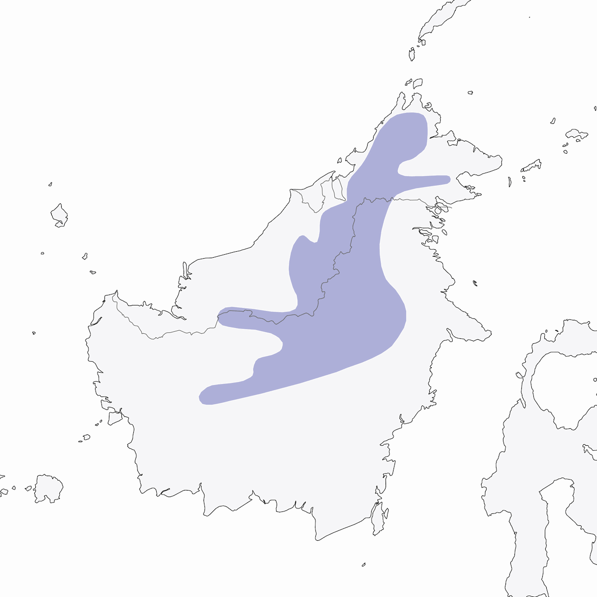Enicuro de Borneo, Distribución 1