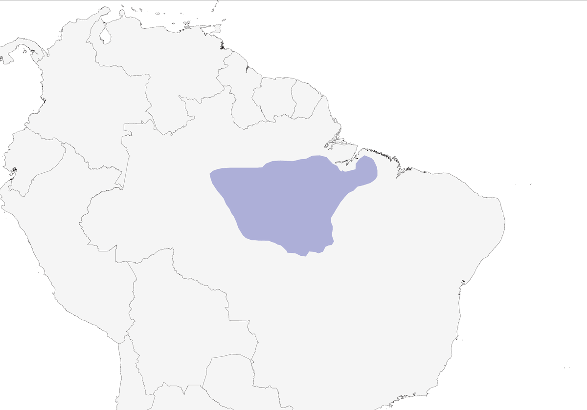 Pava Crestiblanca, Distribución 1
