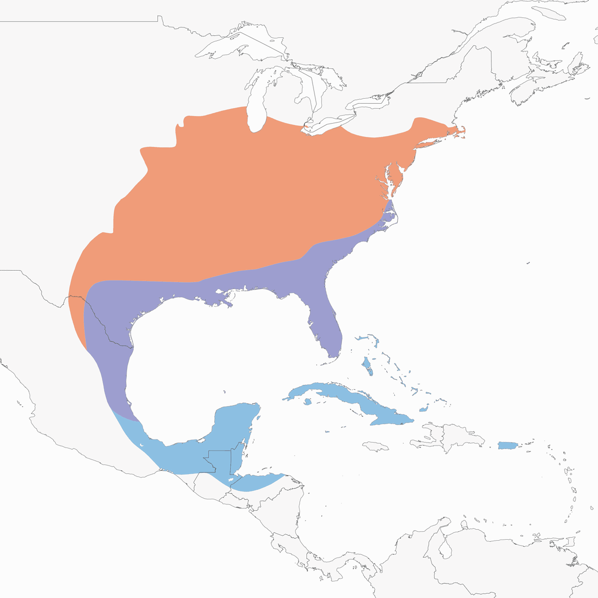 White-eyed Vireo, Distribution 1
