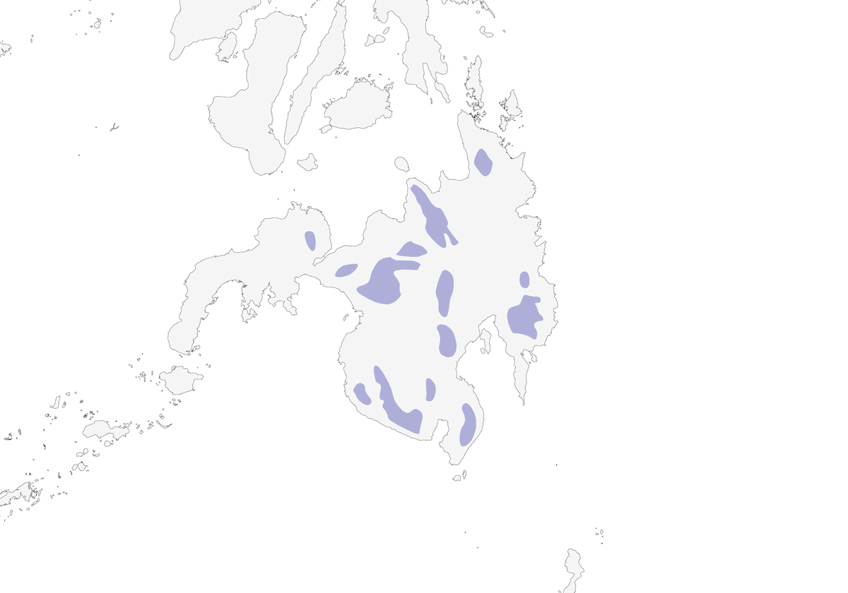 Whiskered Flowerpecker, Distribution 1