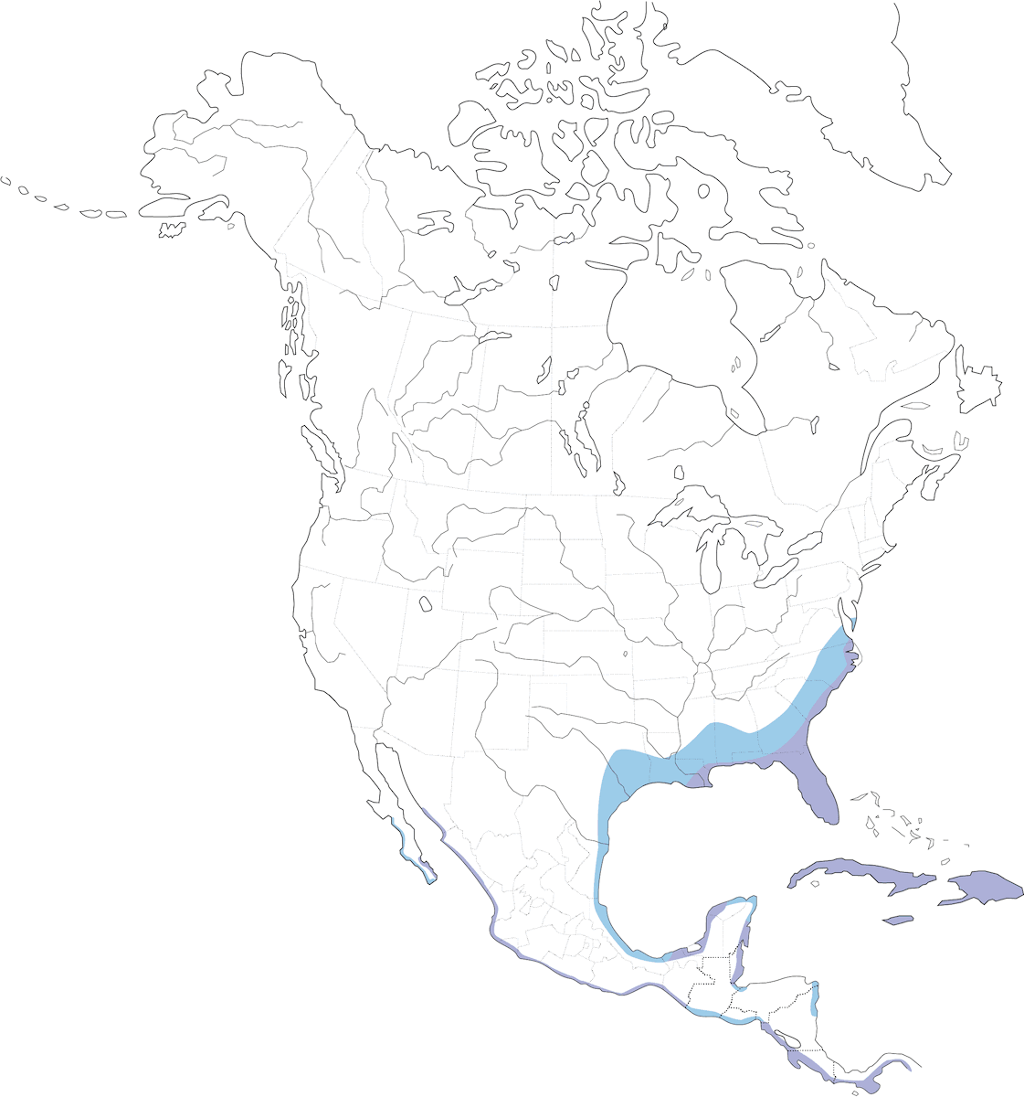 White Ibis, Distribution 1