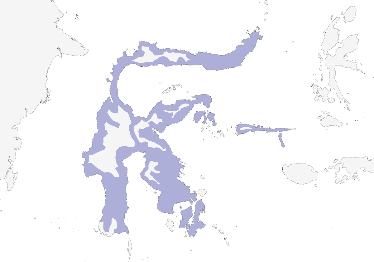 Dúcula Plateada, Distribución 1