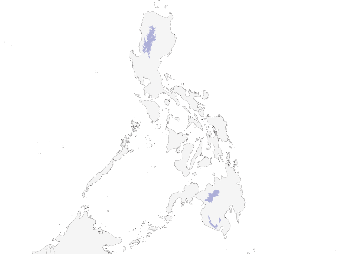Whitehead's Swiftlet, Distribution 1