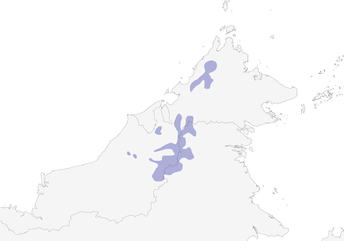 Trogone di Whitehead, Distribuzione 1