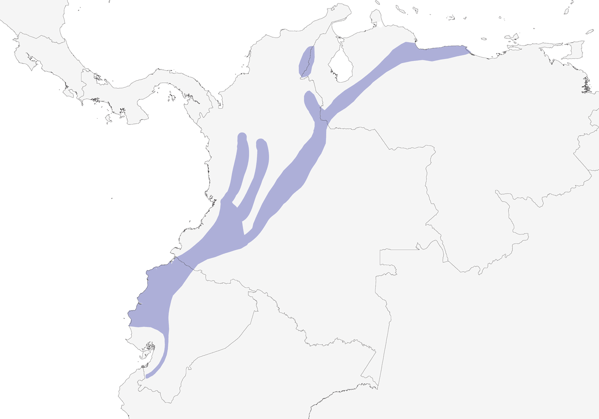Whiskered Wren, Distribution 1