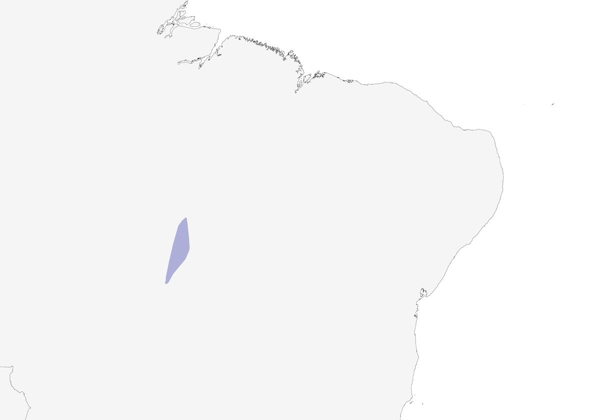 Synallaxe de l'Araguaia, Distribution 1