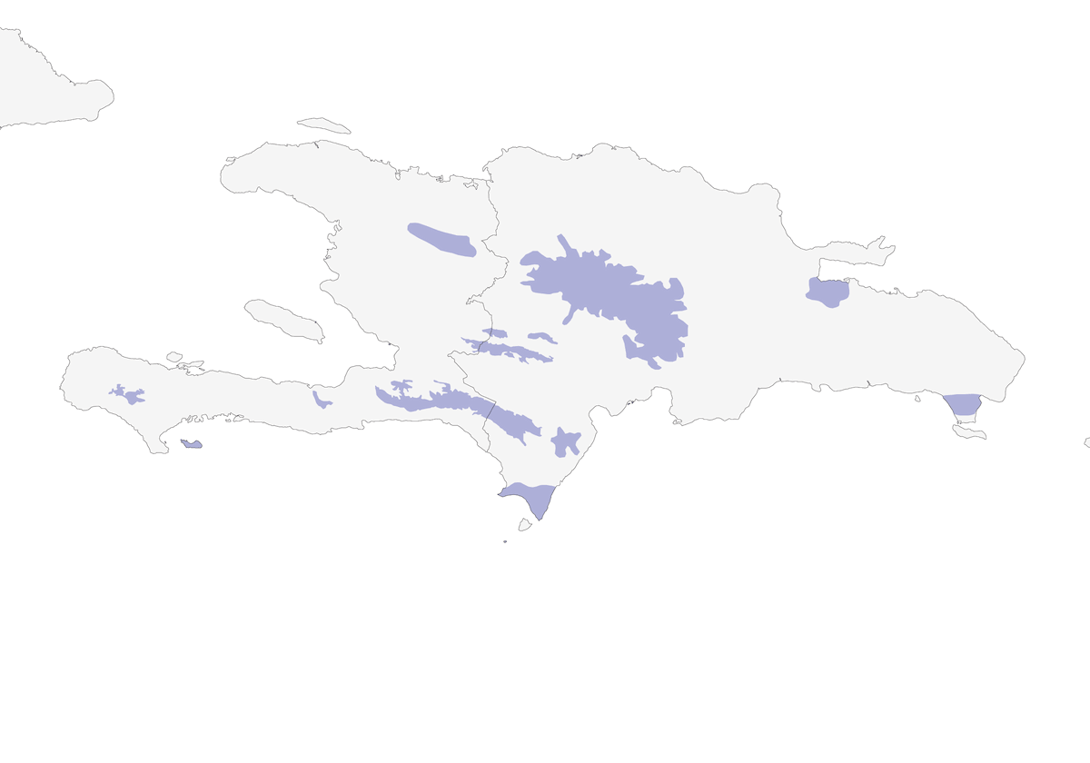 White-necked Crow, Distribution 1