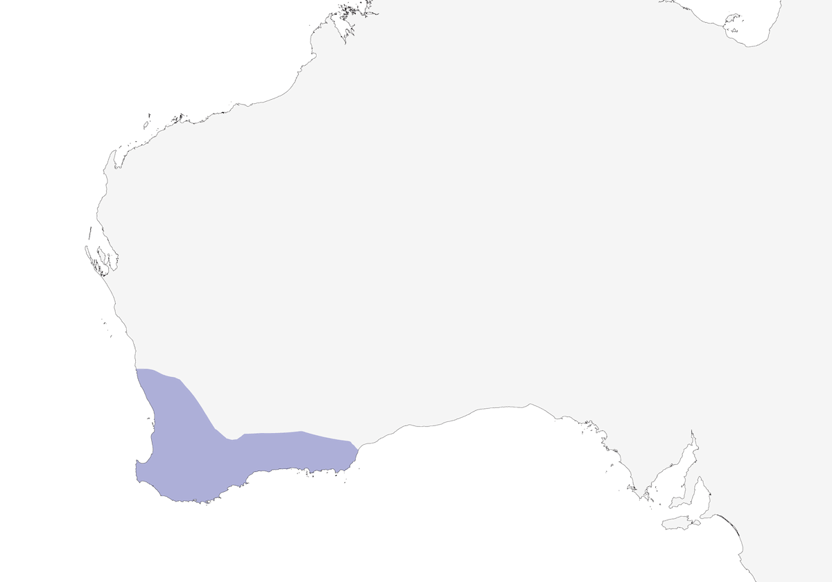 Gilbert's Honeyeater, Distribution 1