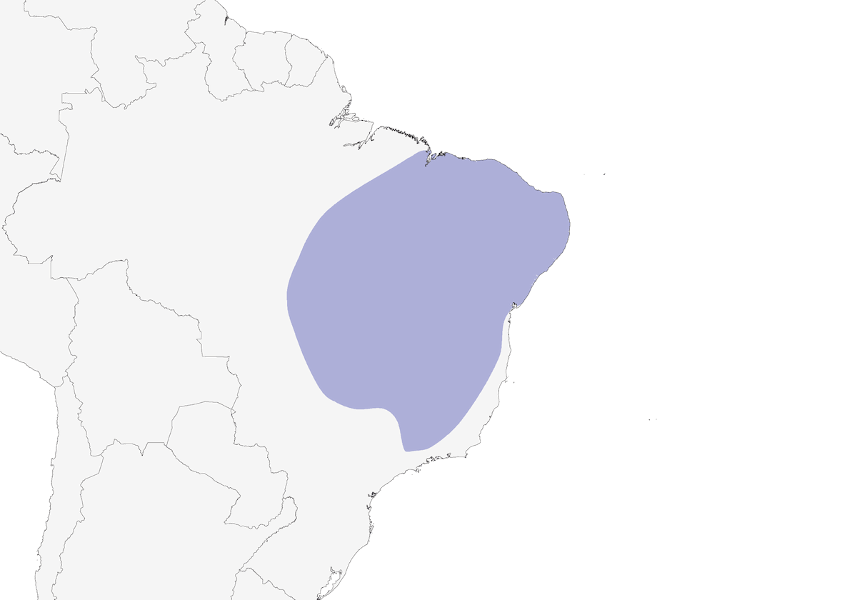 Ghiandaia nucabianca, Distribuzione 1