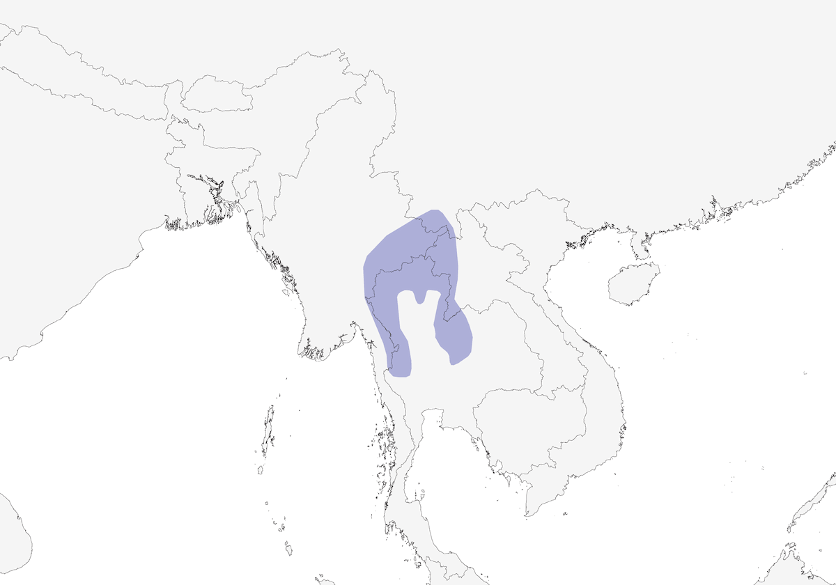White-necked Laughingthrush, 分布 1