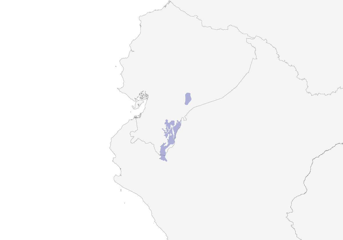 Graubrustsittich, Verbreitung 1