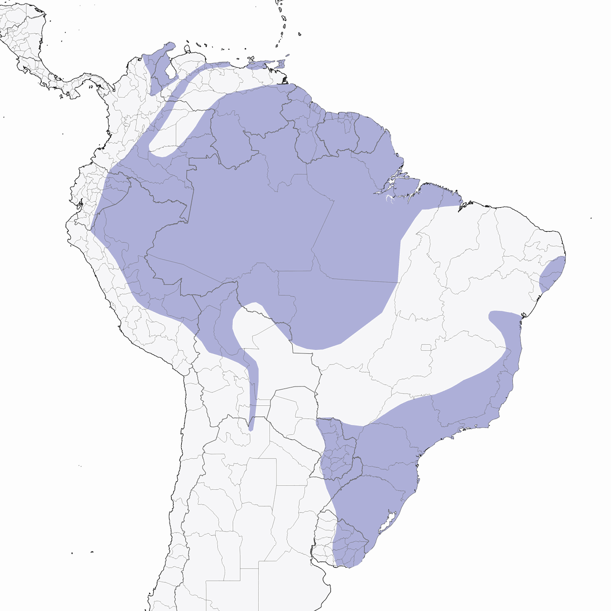 Tordo collarebianco, Distribuzione 1