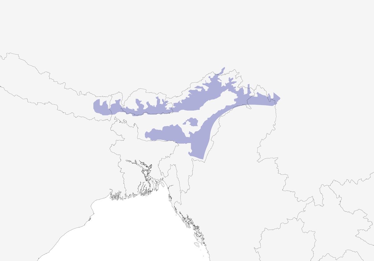 White-naped Yuhina, Distribution 1