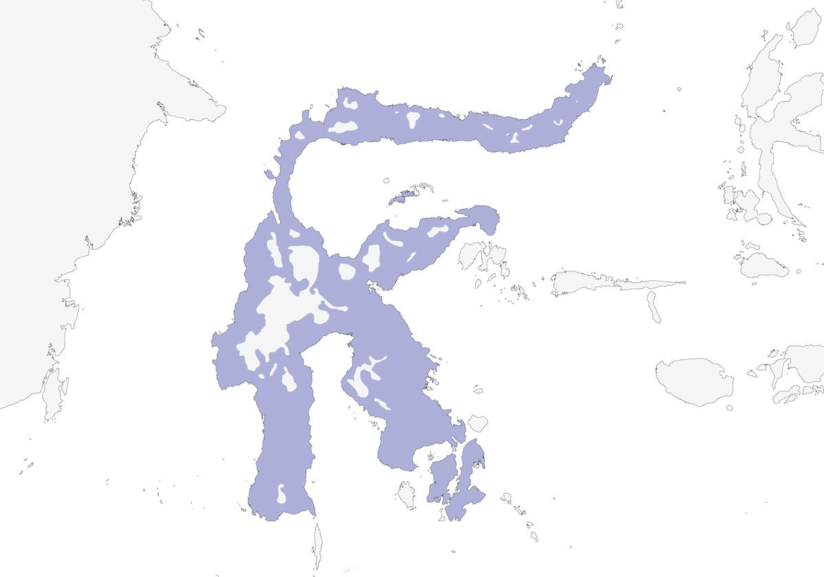 Échenilleur à croupion blanc, Distribution 1