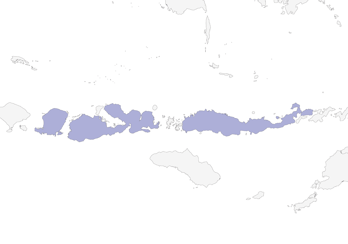 Martín Pescador de Rabadilla Blanca, Distribución 1