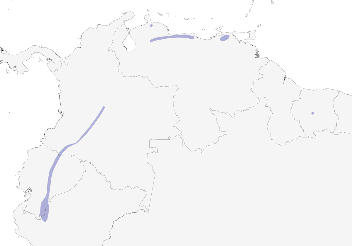 White-streaked Antvireo, Distribution 1