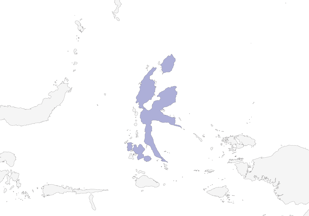 Polochion sobre, Distribution 1