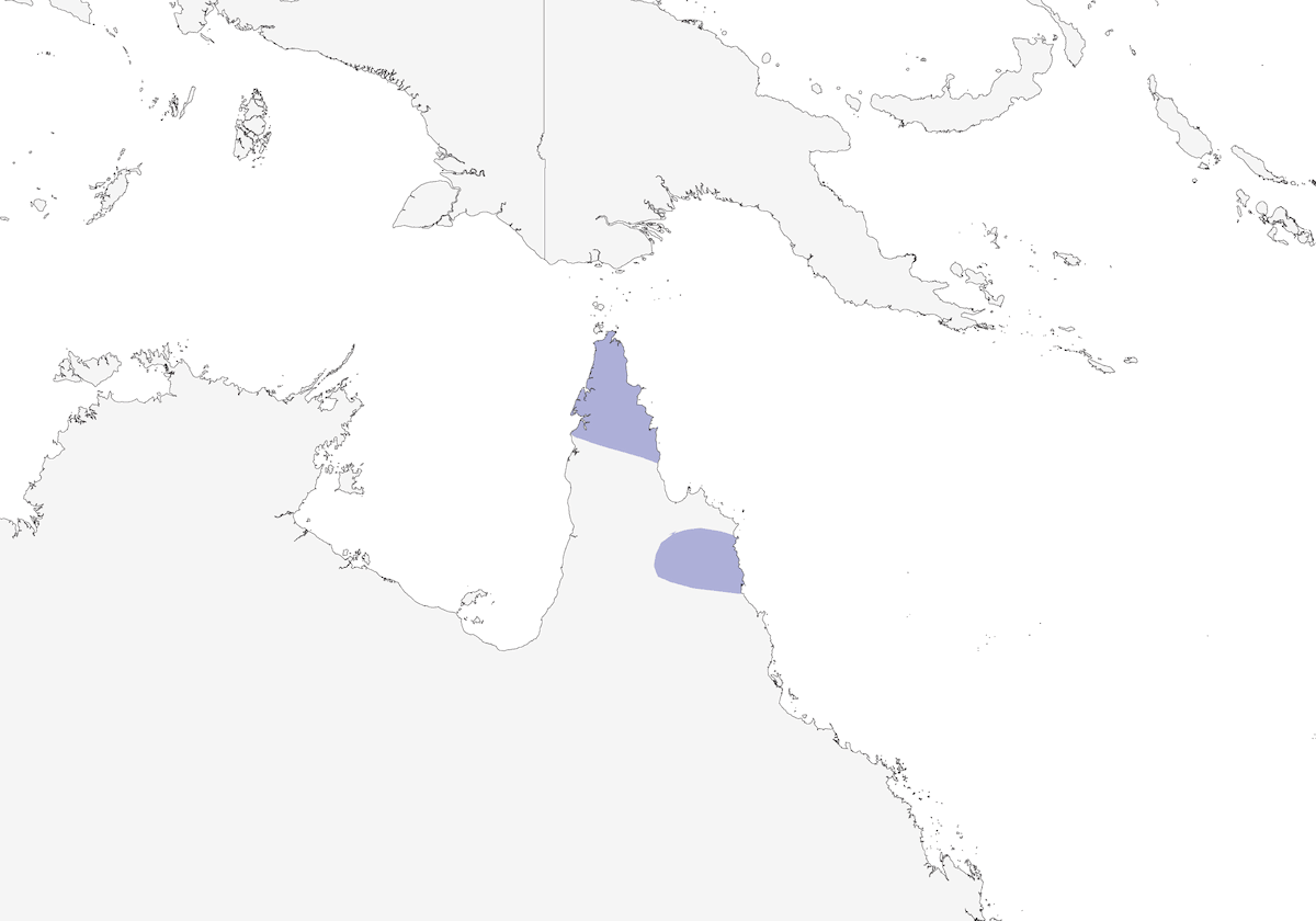 Méliphage strié de blanc, Distribution 1