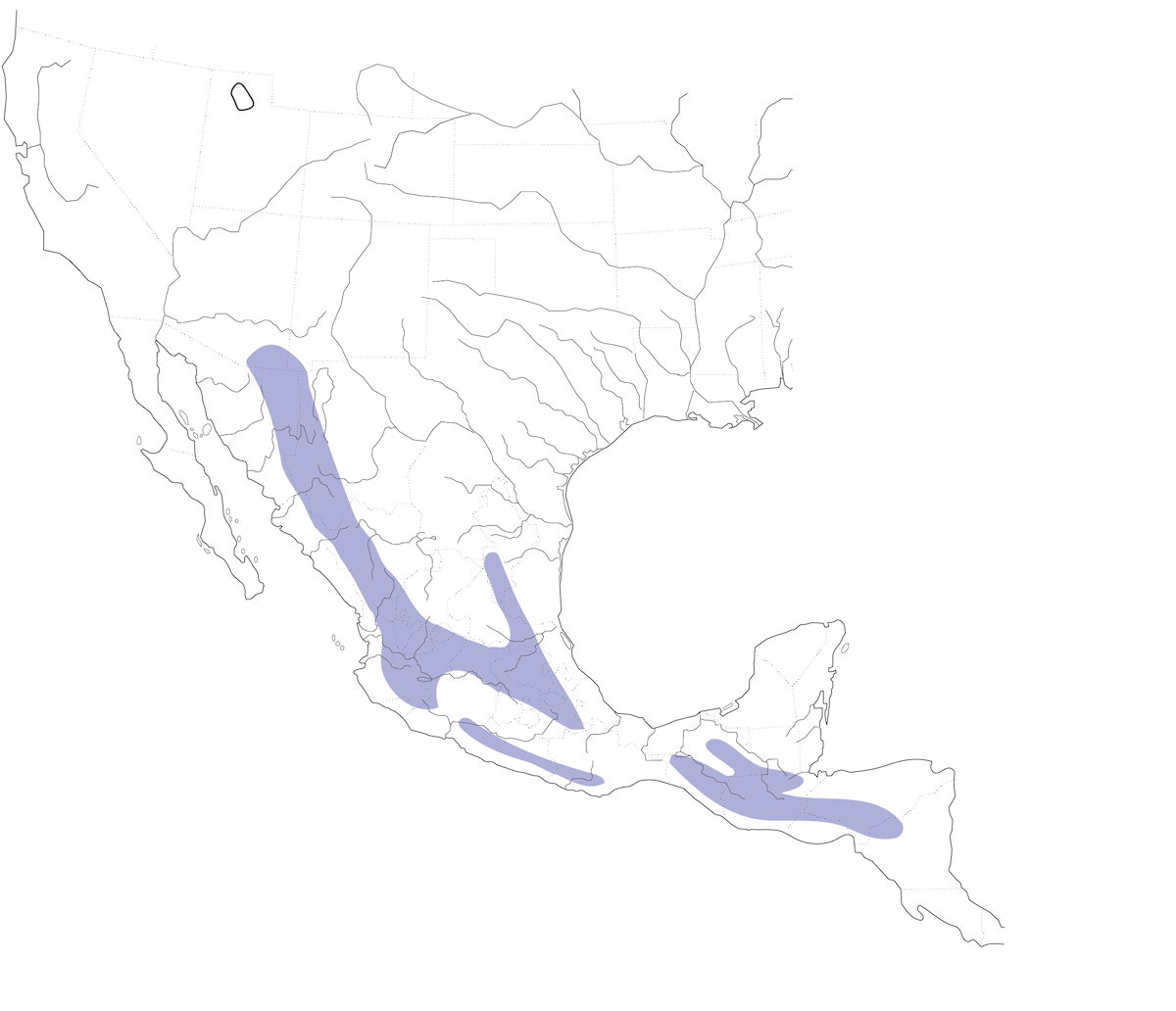 Civetta dal ciuffo baffuta, Distribuzione 1