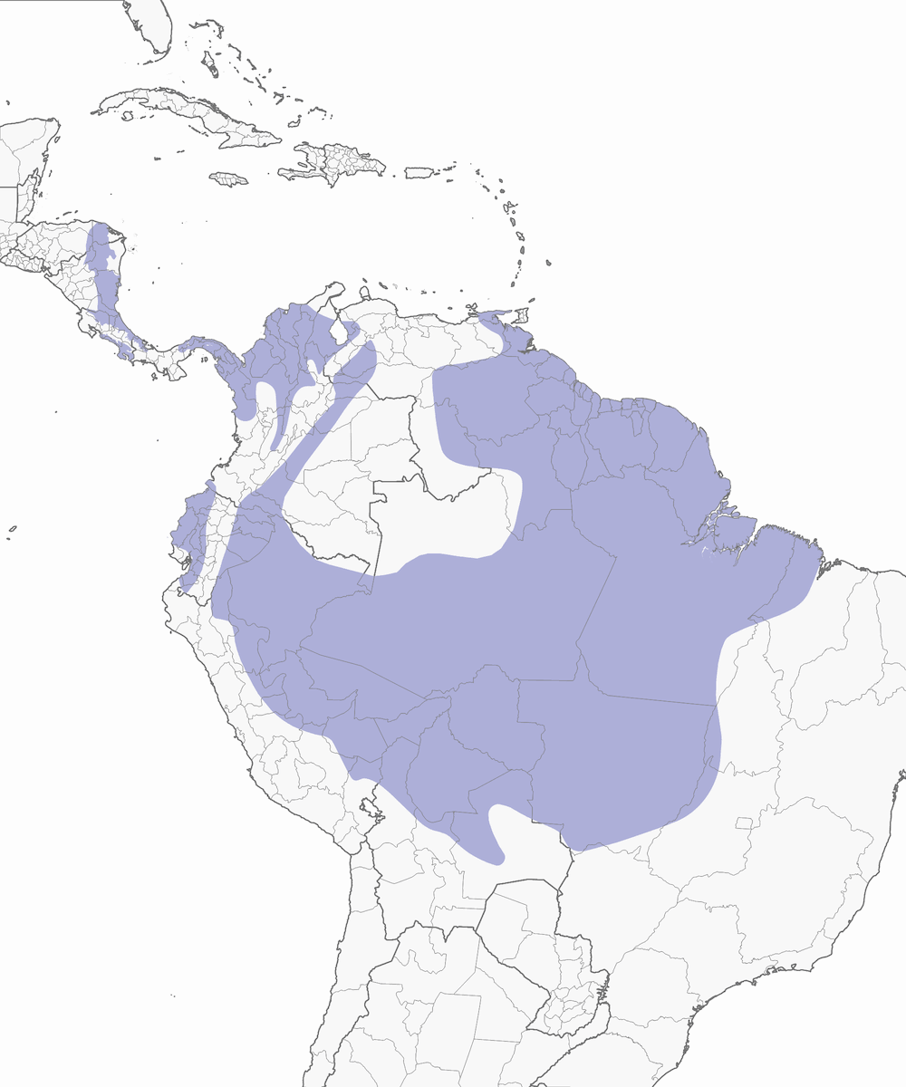 Tangara à épaulettes blanches, Distribution 1