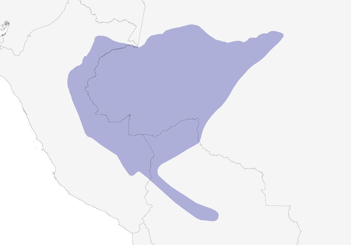 Hormiguero de garganta blanca, Distribución 1