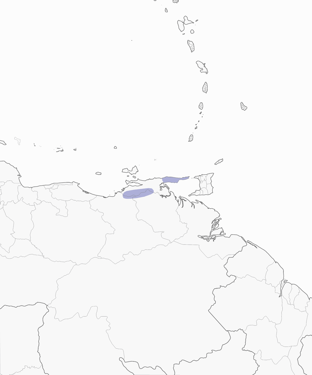 White-throated Barbtail, Distribution 1
